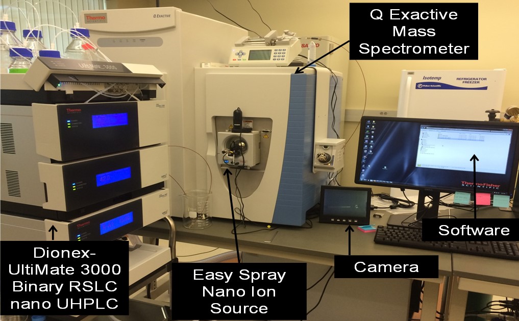 Proteomics-Mass-Spec.jpg